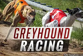 Greyhound Racing